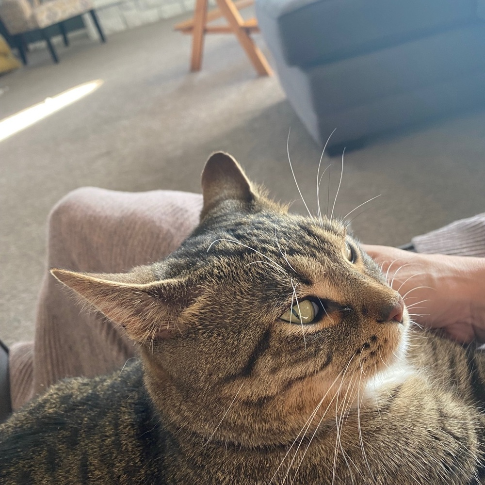 Meet your Posher, Stephanie